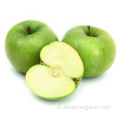 poudre de jus de pomme vert pur naturel naturel